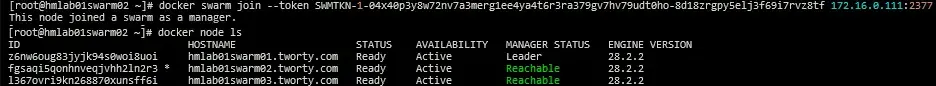 another-swarm-manager